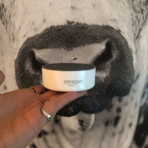 Amazon alexia dot !!💓
